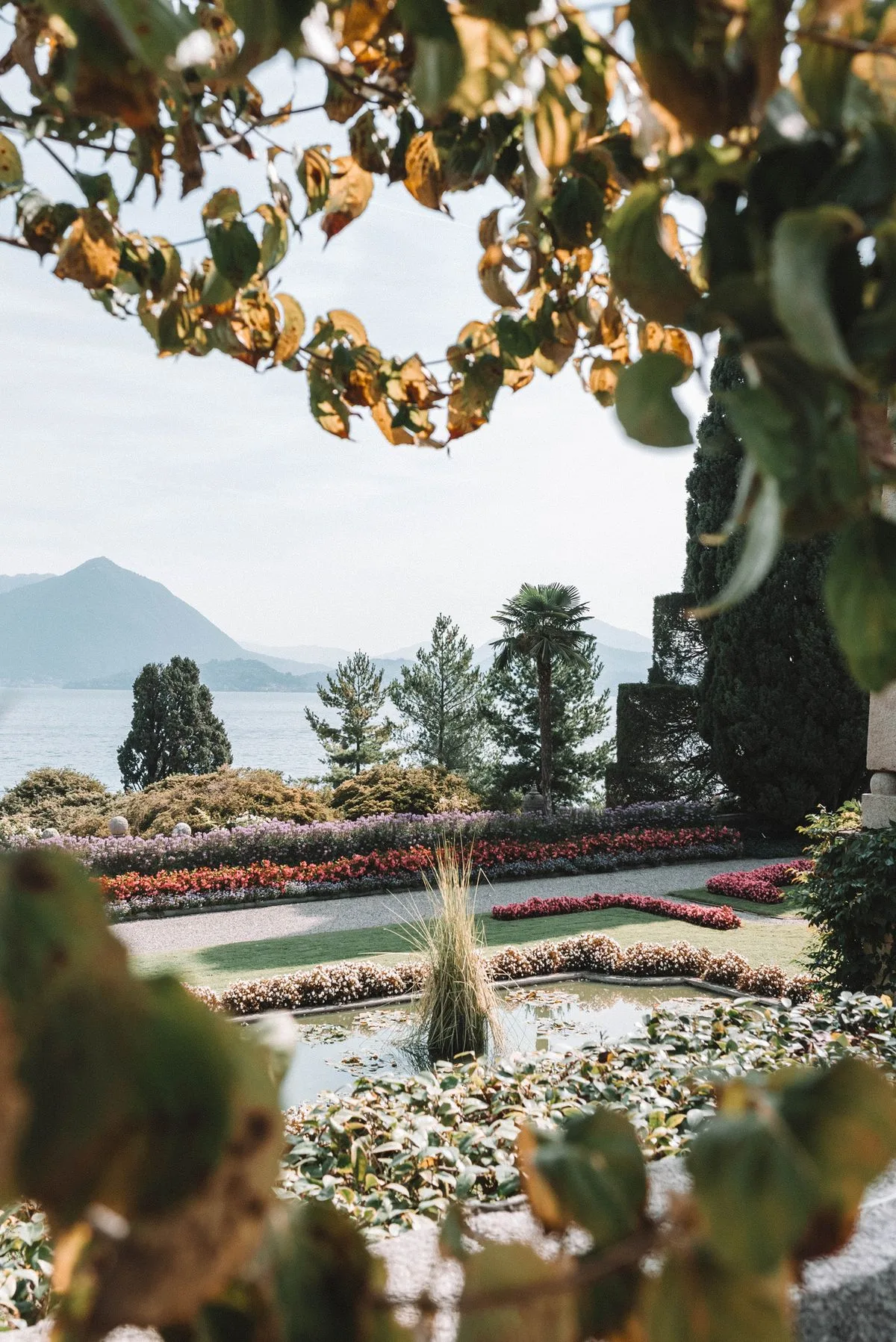 Garden on the island