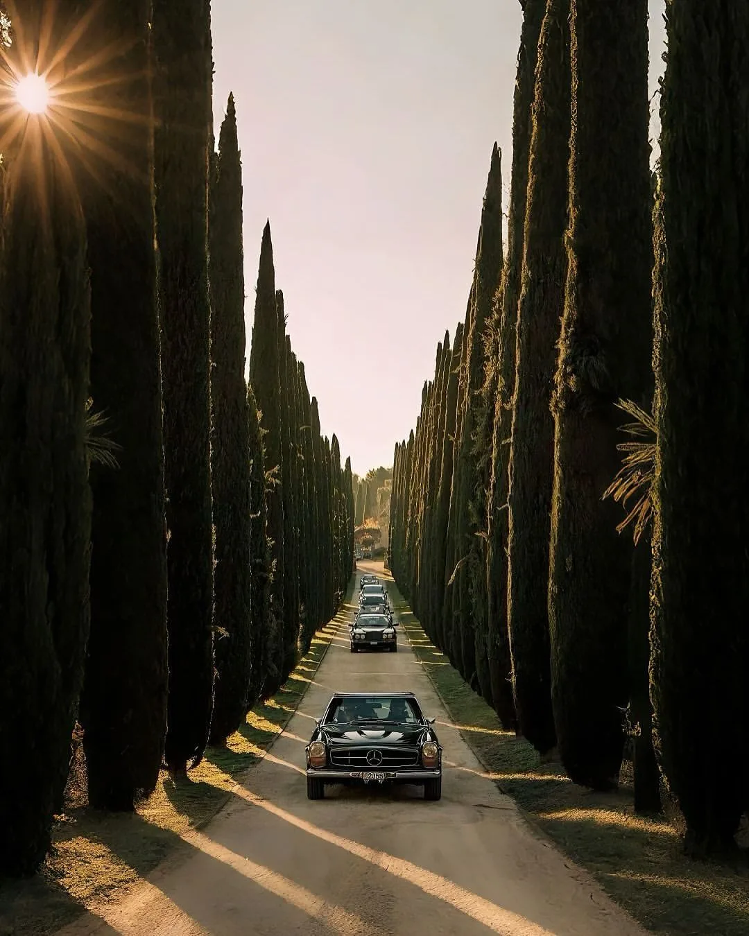 The cypress drive