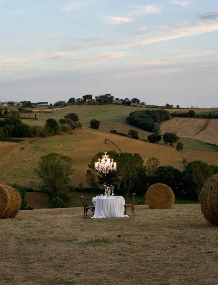 Dinner among the vines
