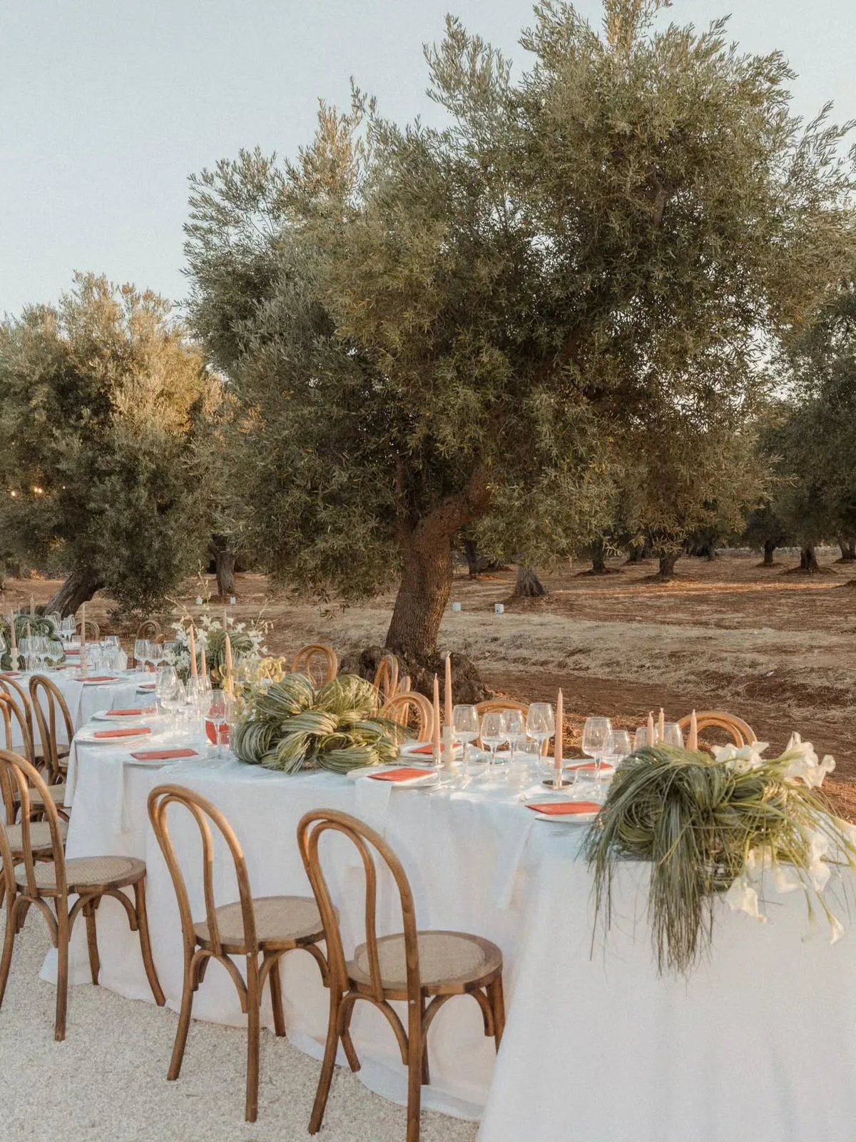Table under the olives
